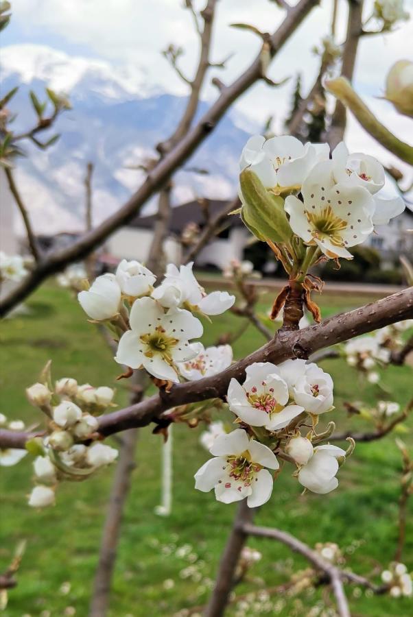 Ferienwohnungen Simon - Hauserhof Oberperfuss Dış mekan fotoğraf