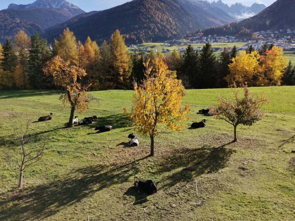 Ferienwohnungen Simon - Hauserhof Oberperfuss Dış mekan fotoğraf